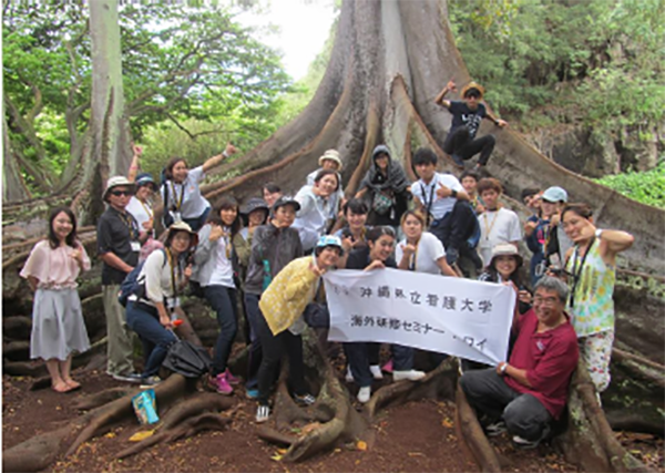 International students at the famous "Jurassic Tree" in Allerton Gardens